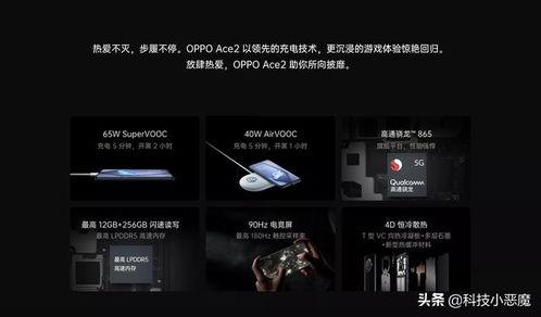 国产福利视频网,揭秘国内热门影视资源聚集地